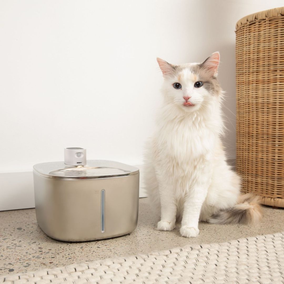 SourceSaine Chat – Fontaine à eau silencieuse pour chats