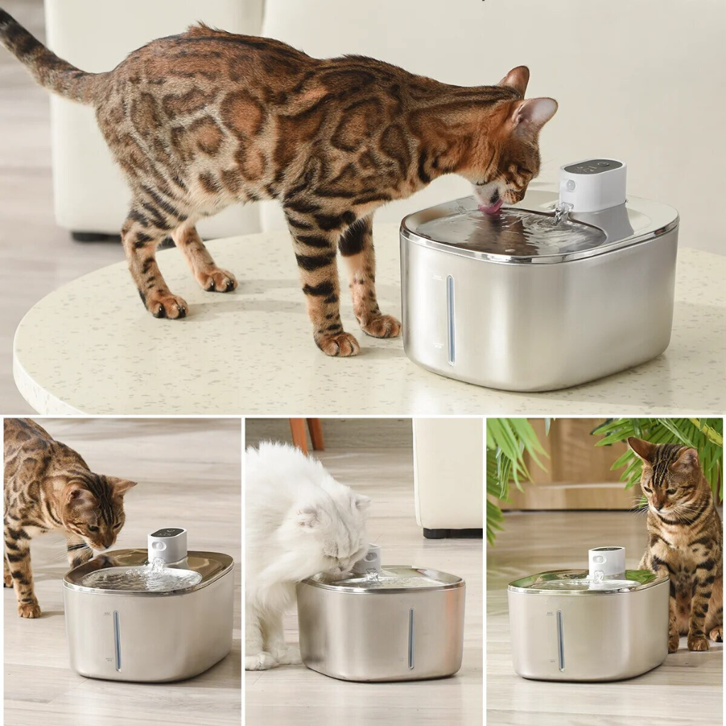 SourceSaine Chat – Fontaine à eau silencieuse pour chats