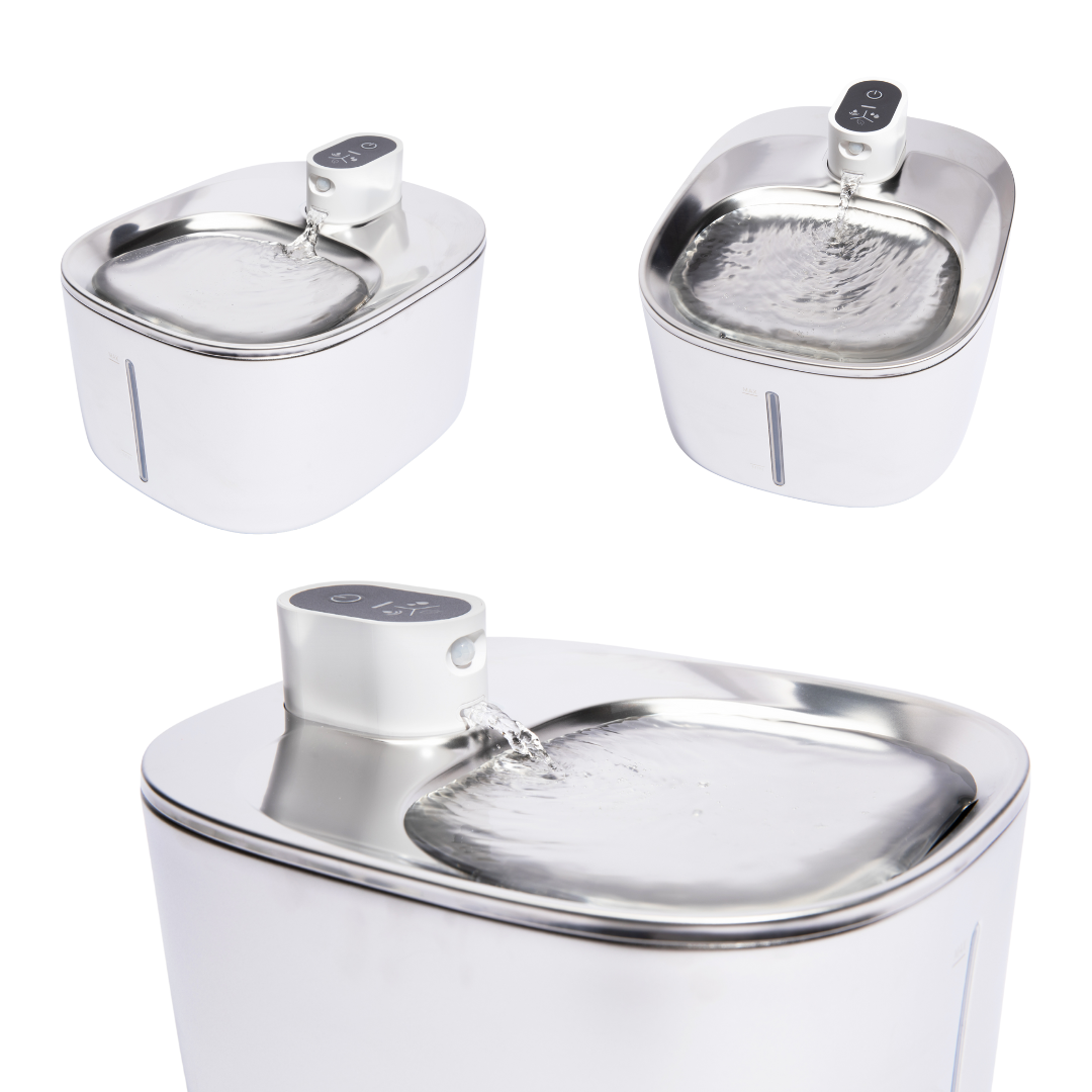 SourceSaine Chat – Fontaine à eau silencieuse pour chats